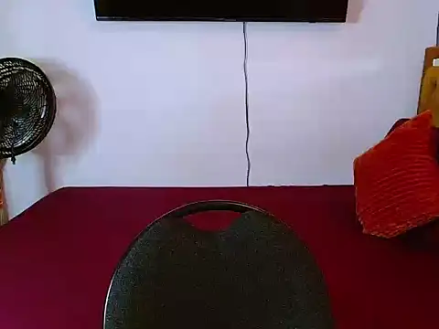 gabriel_spy12 webcam