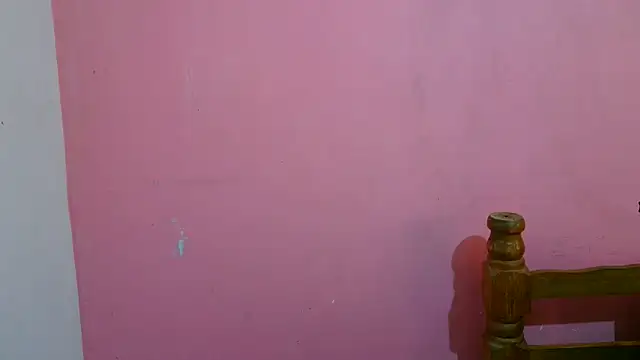 Aronbbc webcam