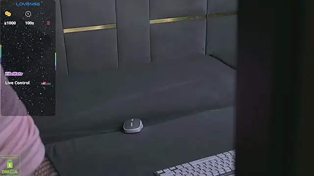 maya_snow webcam