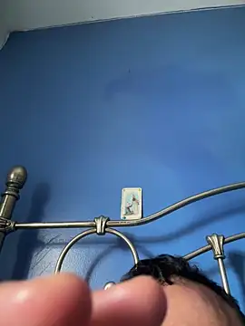 stevo170t webcam