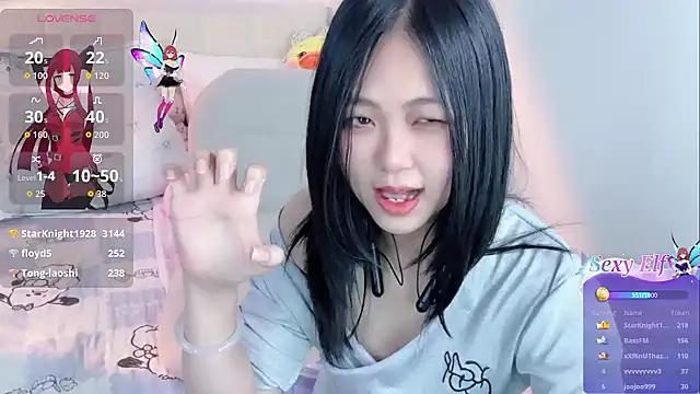 Noelle-2007 webcam