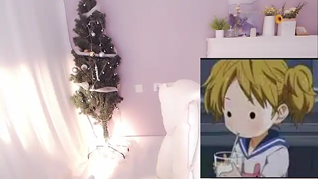 hall-33 webcam