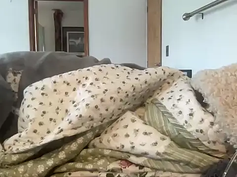 pimpirimpimpimmm webcam