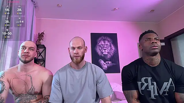 FireBeard_ webcam