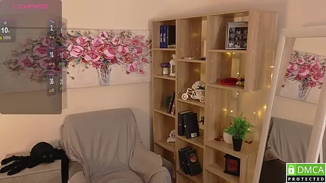 Sue_Sanders webcam