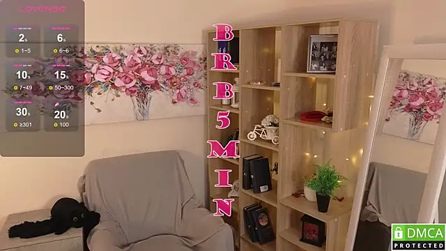 Sue_Sanders webcam