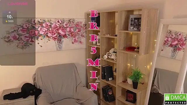 Sue_Sanders webcam