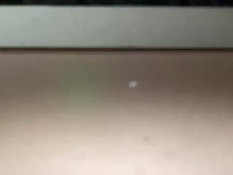 pimpirimpimpimmm webcam