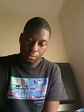 ThickDic28 webcam