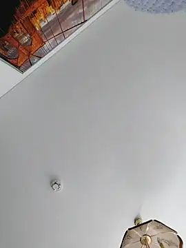 Toyjungee webcam