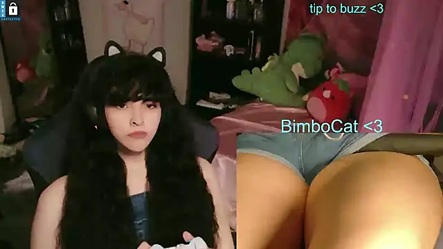 BimboCat webcam