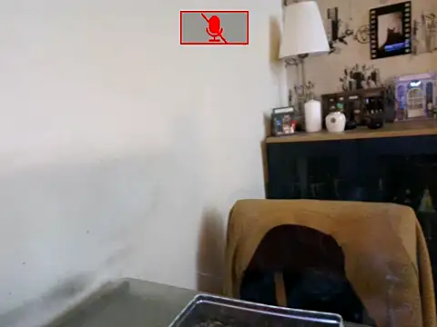 Hgay6935 webcam