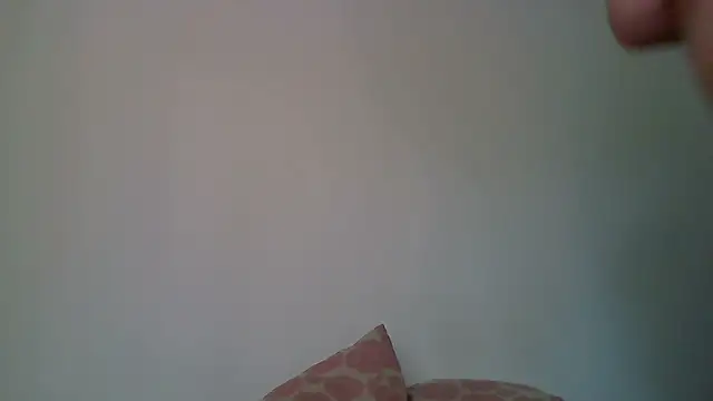 Kaappi1967 webcam