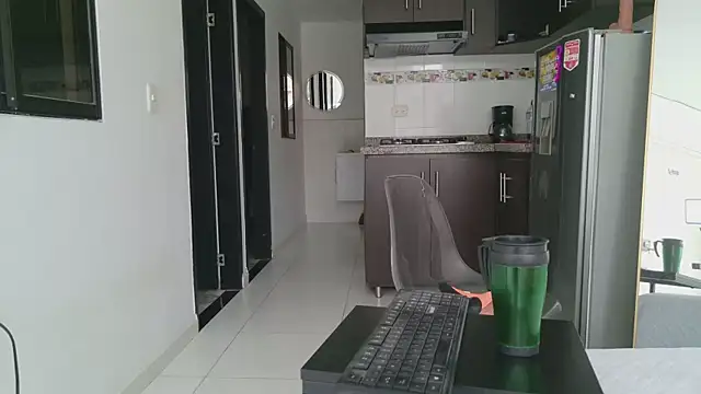 grey___27 webcam