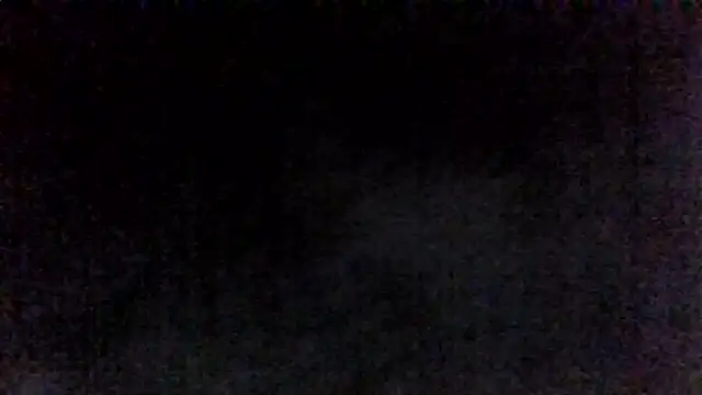 jellesexx webcam