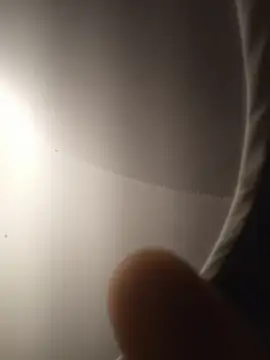 sexboybwc_assfucker webcam