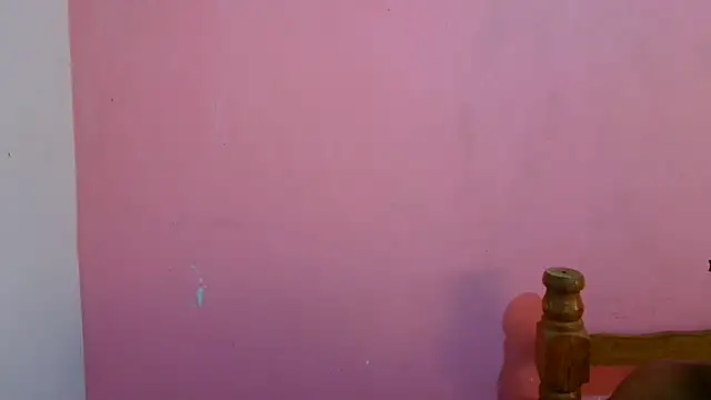 Aronbbc webcam