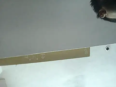 The_boss001 webcam