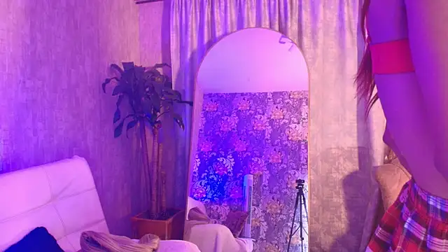 davis_saint webcam