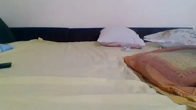 Reinemanon webcam