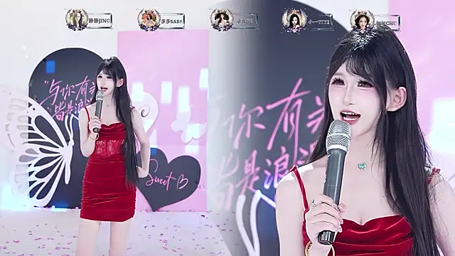 TY-002 webcam