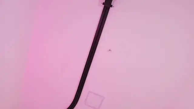 Malaia_thompson_ webcam