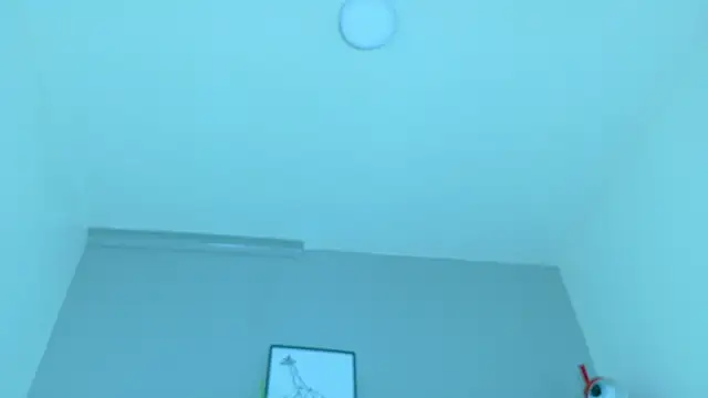 LexaDominant__ webcam