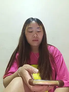 he-se-kin webcam