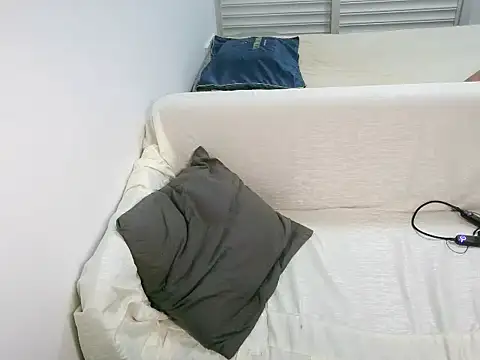 Sq610 webcam