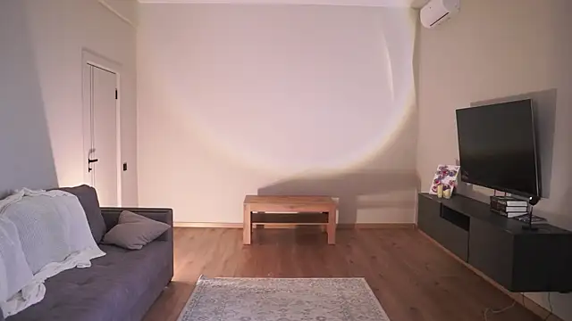 AdaBell webcam