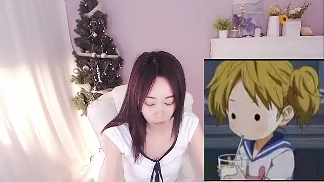 hall-33 webcam