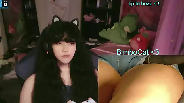 BimboCat webcam