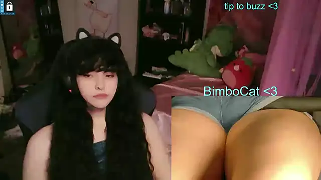 BimboCat webcam