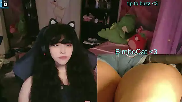 BimboCat webcam