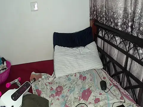 Whimsicalwillow webcam