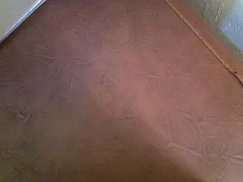 mbody1523 webcam
