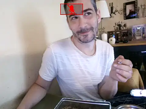Hgay6935 webcam
