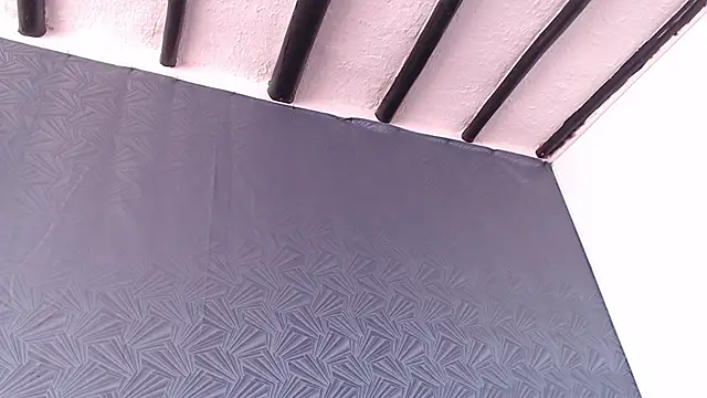 Freyja_eter webcam