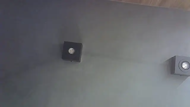 SkinnyKitten webcam