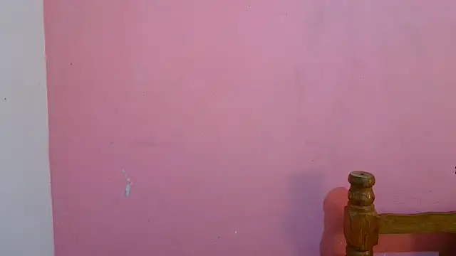 Aronbbc webcam