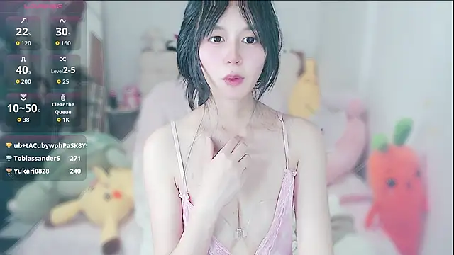 Rabbit1320 webcam