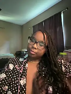 layitinme webcam