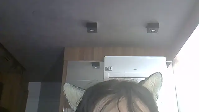 SkinnyKitten webcam