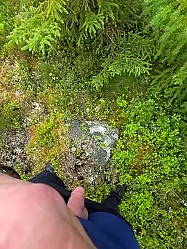 Amatsontrans