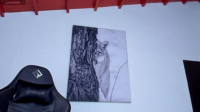 Santos_ramirez1 webcam