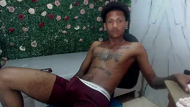 ManSant webcam