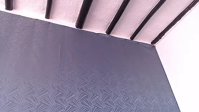 Freyja_eter webcam