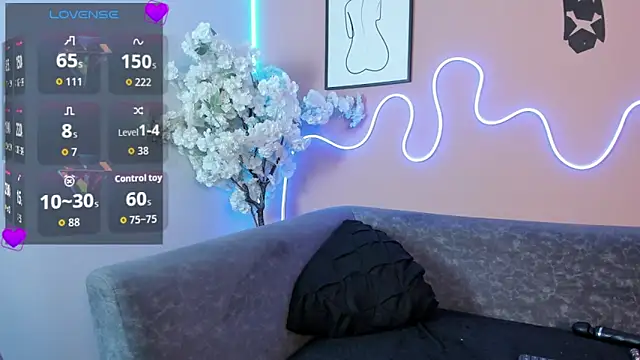 karo_linee1 webcam