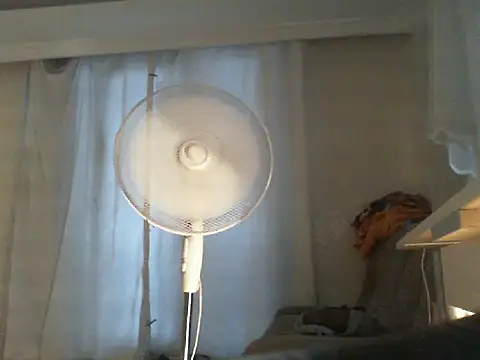 thekeys webcam