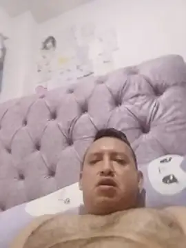 Hachi28 webcam